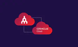 Featured image of post Oracle 永久免费 VPS 使用篇